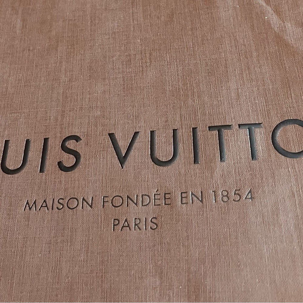Louis Vuitton Brown Bag